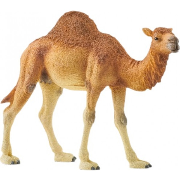 Фігурки тварини Schleich Дромедар (14832)