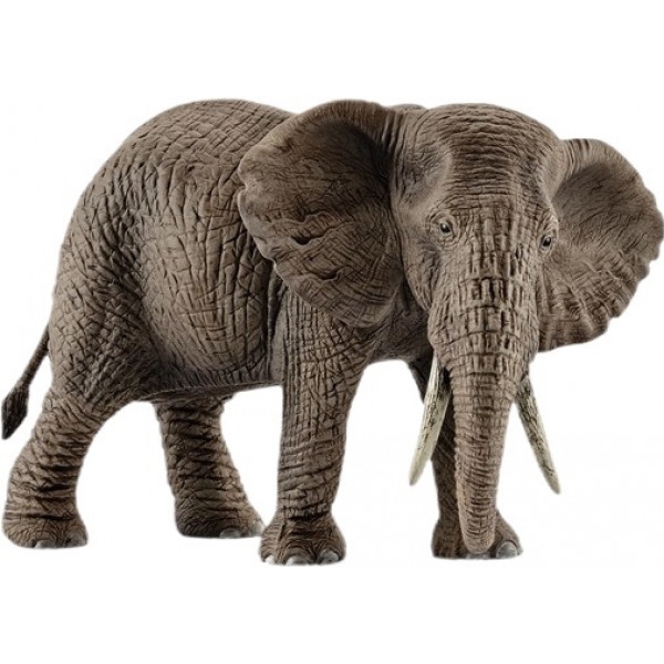 Фігурки тварини Schleich Африканська слониха (14761)