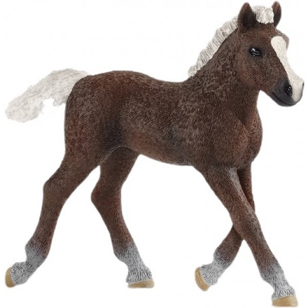 Фігурки тварини Schleich Шварцвальдське лоша (13899)