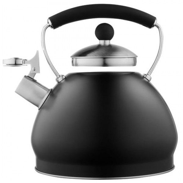 Чайник металевий Ardesto Black Mars 3 л (AR0748KS)