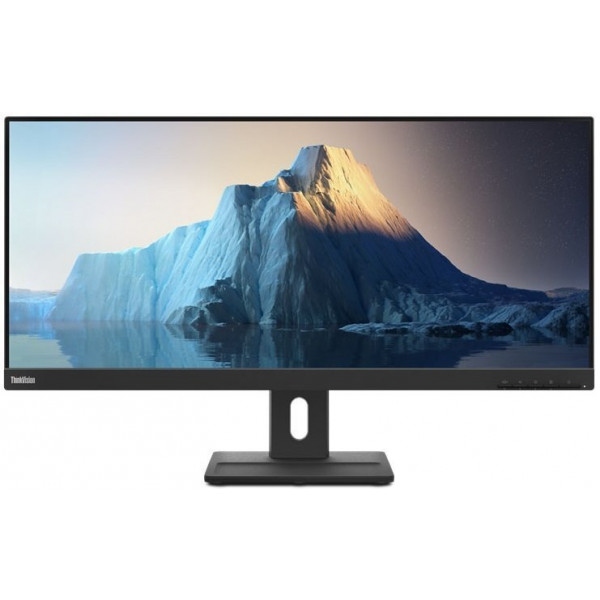 Монітор Lenovo ThinkVision E29w-20 (62CEGAT3UA)