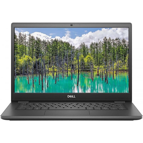 Ноутбук Dell Latitude 3410 (N014L341014GE_UBU) Gray
