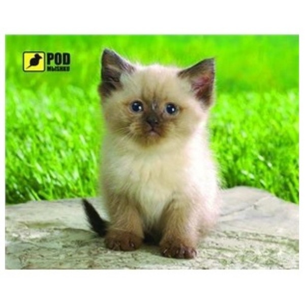 Килимок для миші PODMЫSHKU Сіамський котик