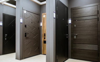 Выбор входной двери в квартиру: качественные и современные решения для максимальной безопасности