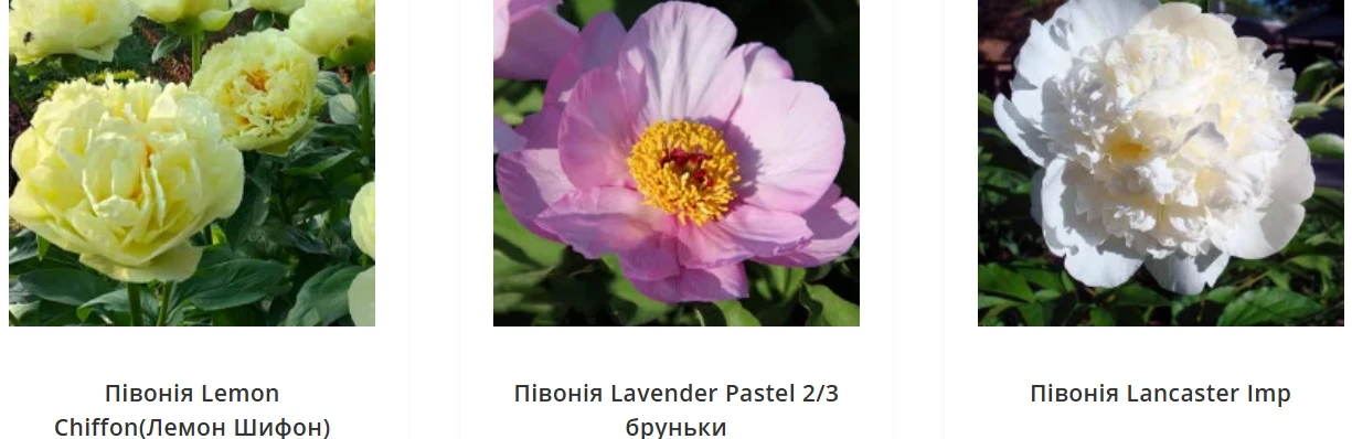 Аромат як критерій вибору